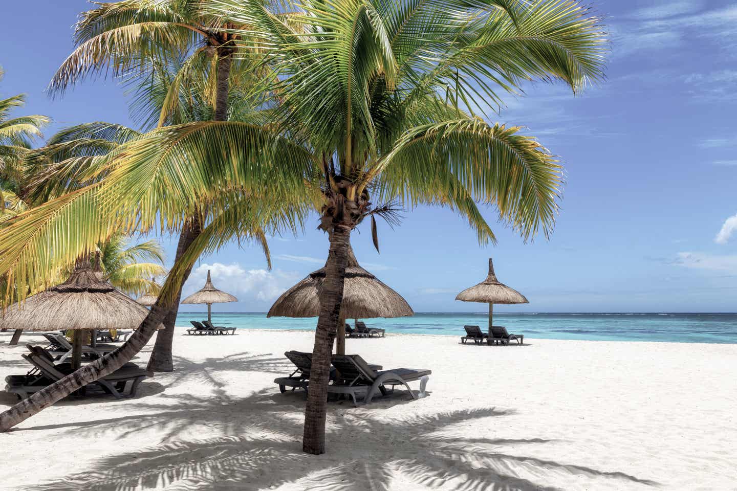 Reiseziele Ostern: Palmen am Strand mit blauem Himmel