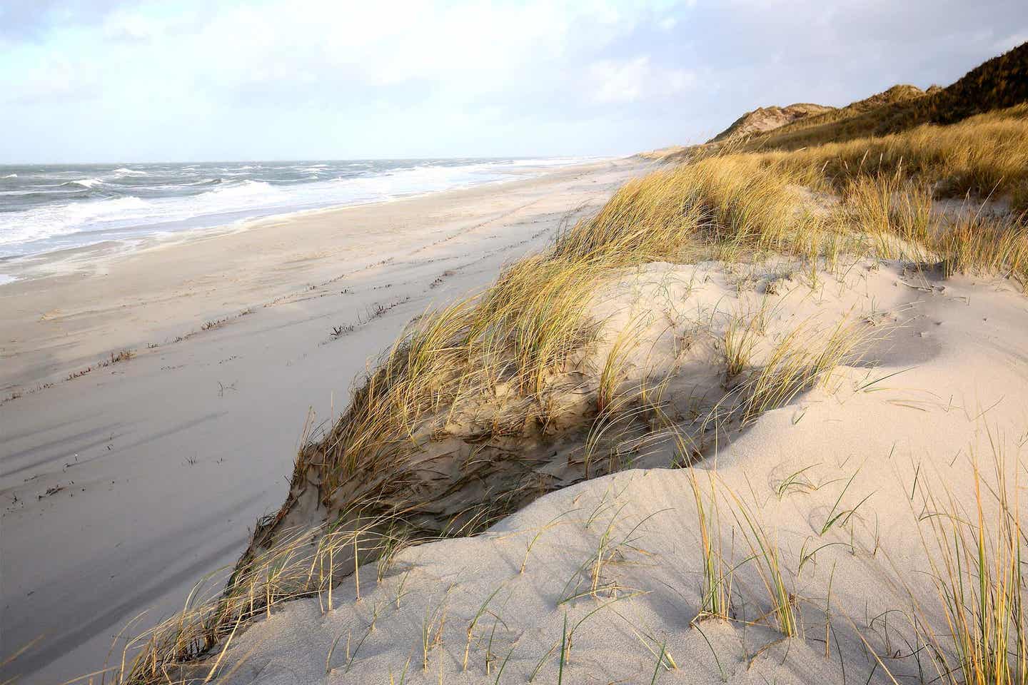 Dünen am Sylter Strand mit Blick auf das Meer