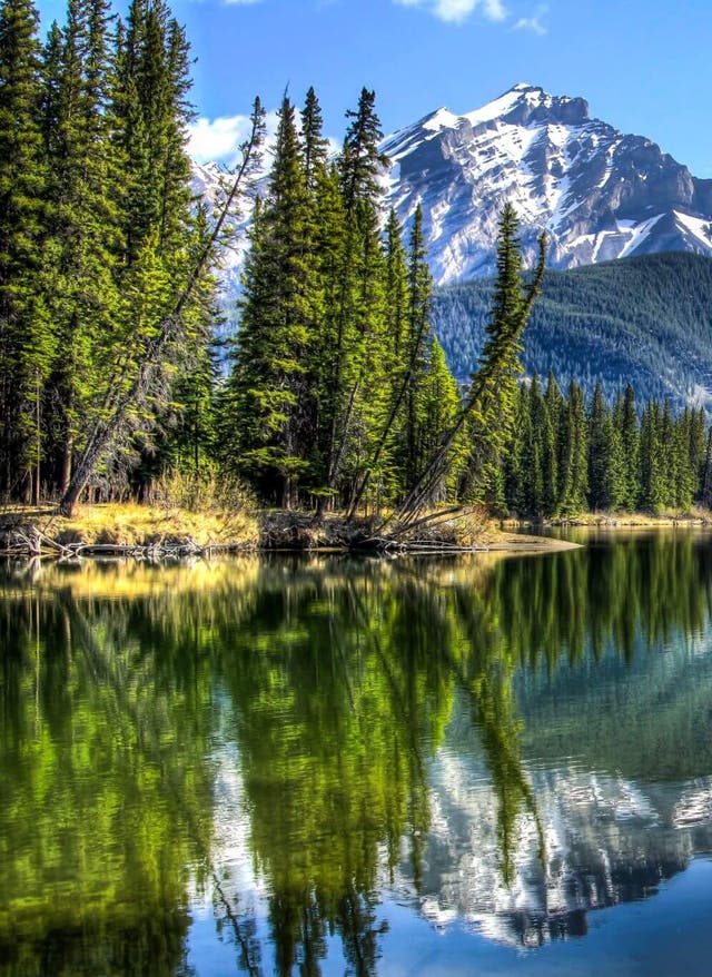 Zu den Angeboten Bow River im Banff Nationalpark