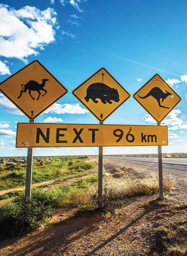 Australien-Reisetipps Australien-Reisetipps von DERTOUR