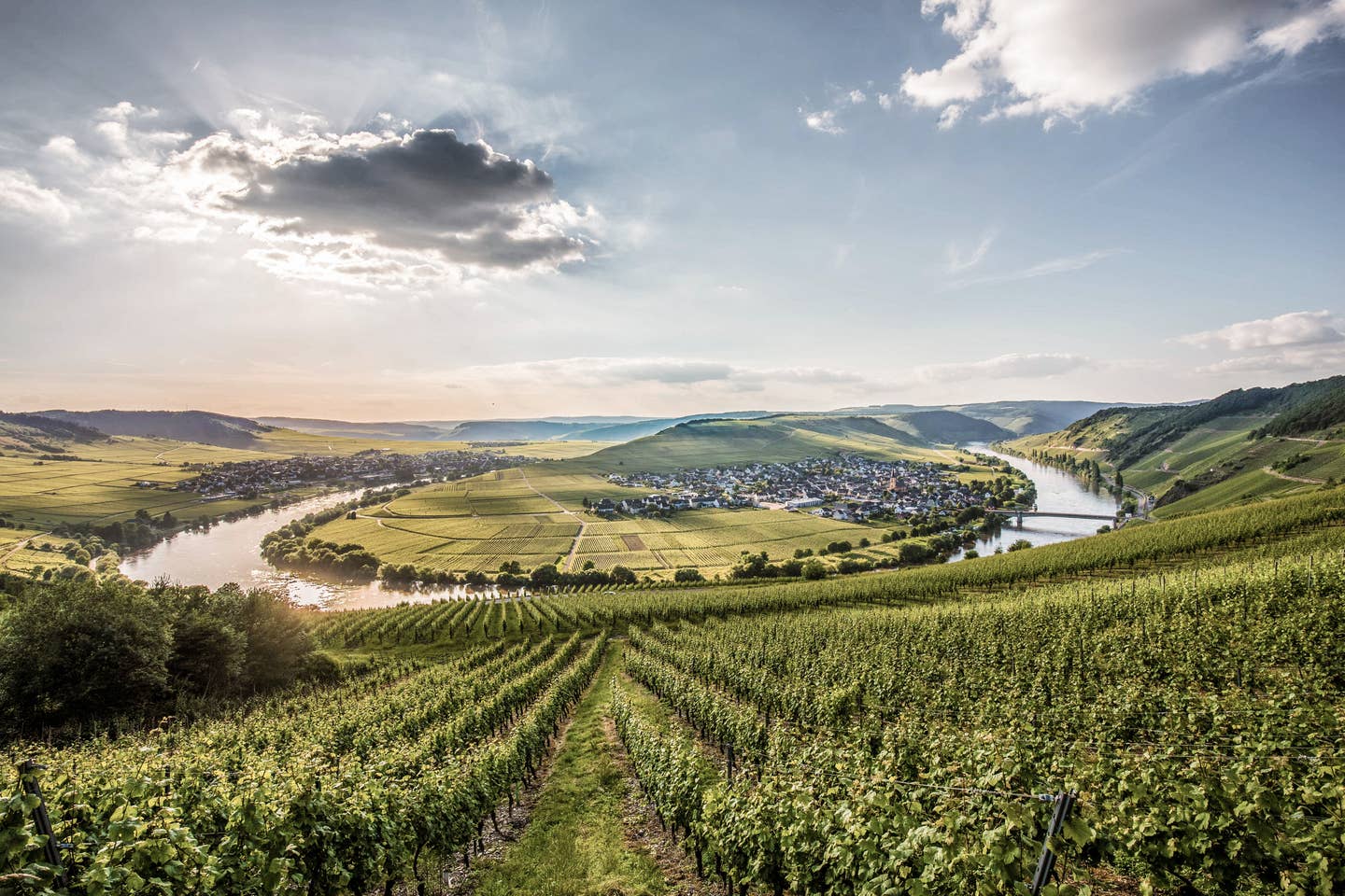 Mosel Urlaub mit DERTOUR. Blick auf die Moselschleife in Trittenheim.