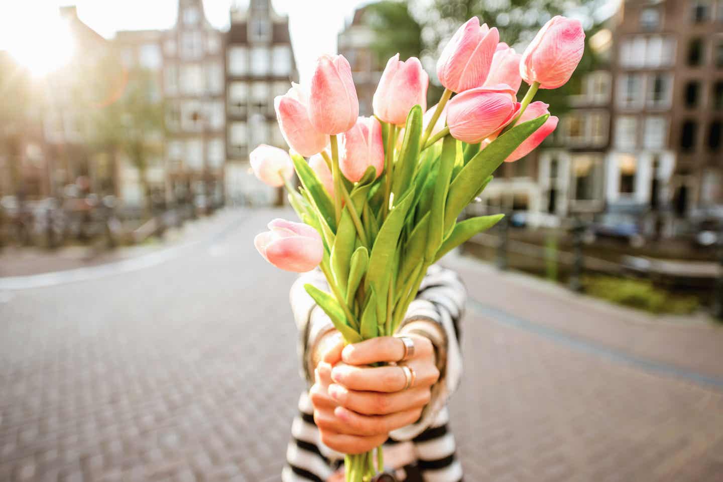 Frau hält einen Strauß rosa Tulpen in die Kamera