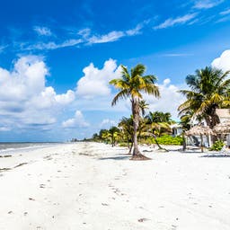 Pauschalreisen Florida