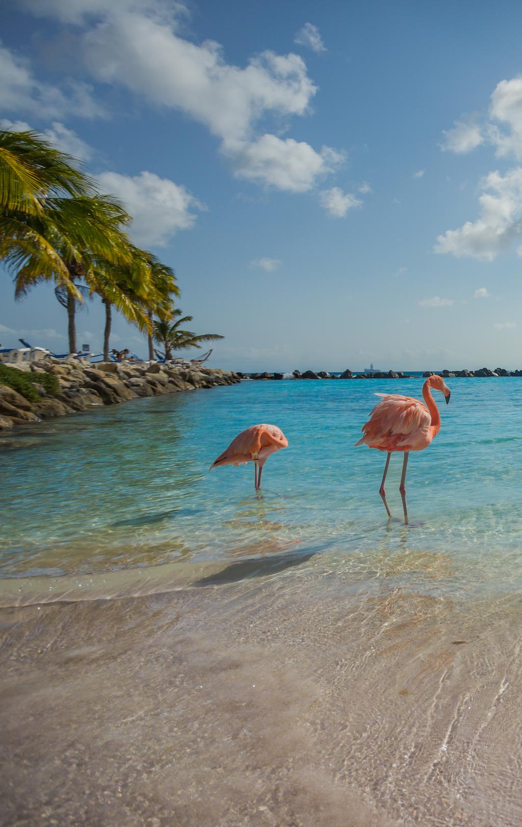 ABC-Inseln Urlaub: Aruba, Bonaire & Curaçao | DERTOUR