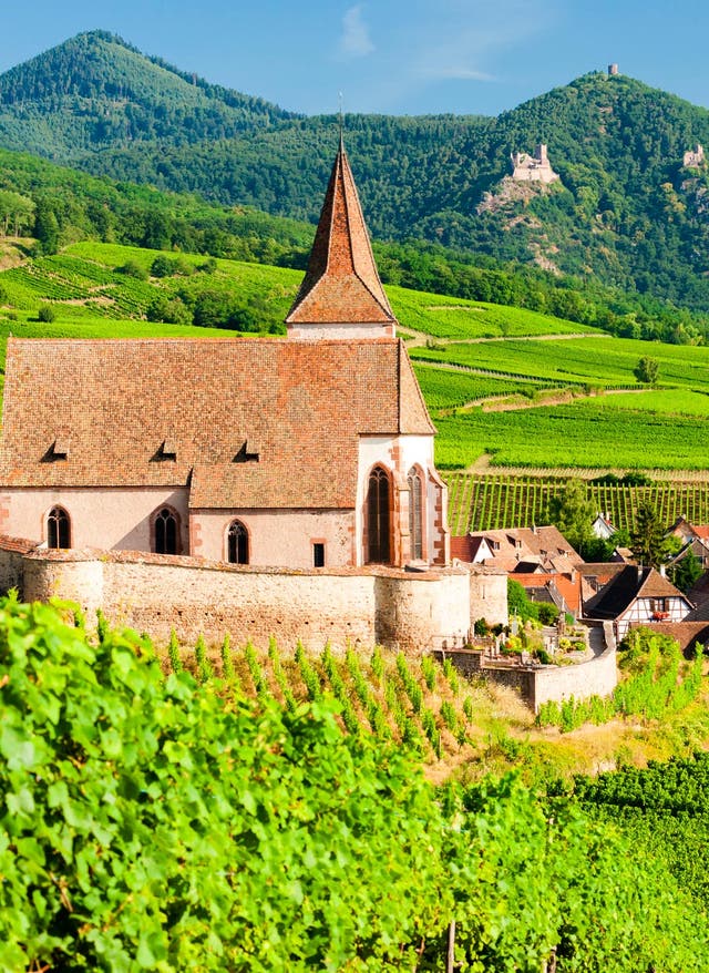 Hotel buchen Kirche in den Weinbergen im Elsass inFrankreich