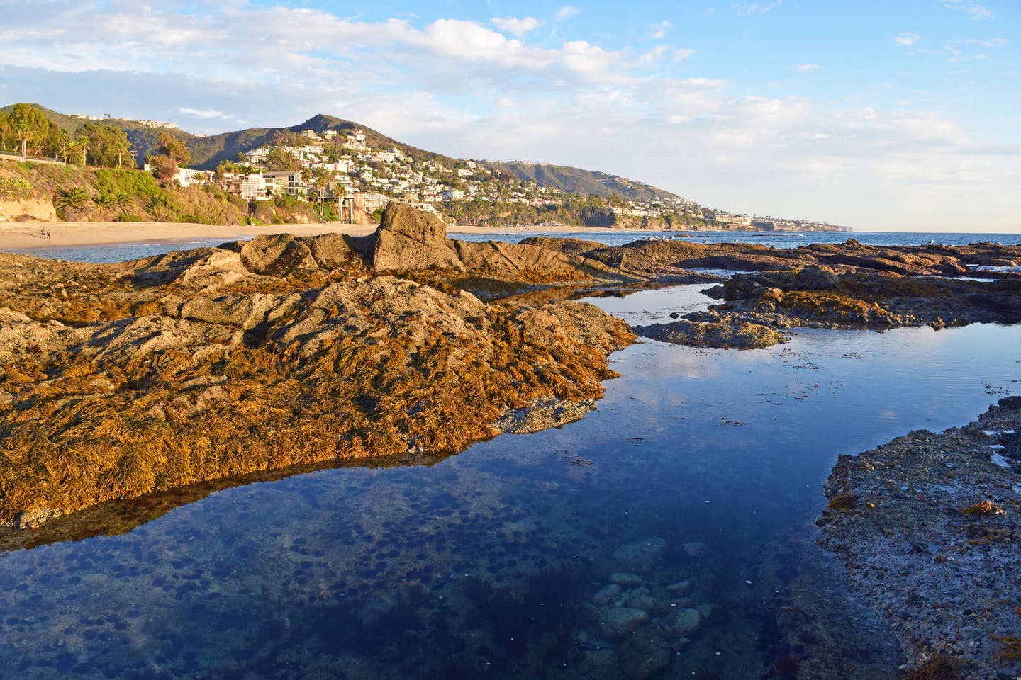 Im Meer treibende Felsen an einem der schönsten Strände Kaliforniens, Laguna Beach