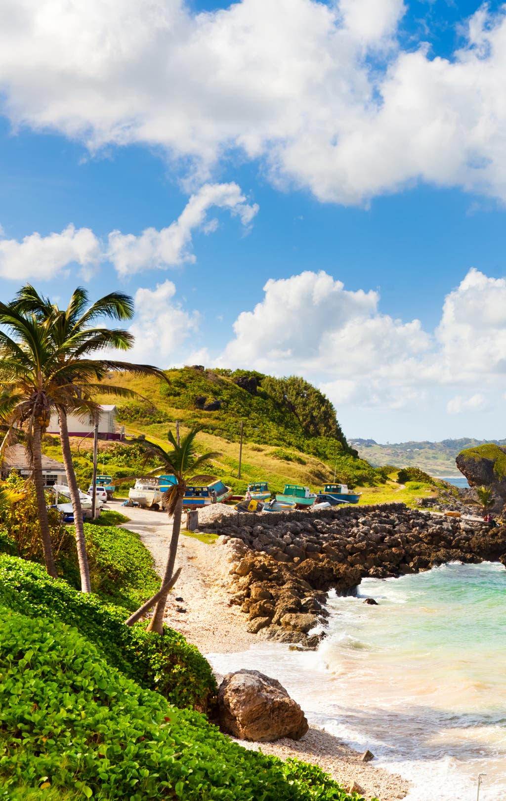 Punta Cana Urlaub im Karibikparadies buchen DERTOUR