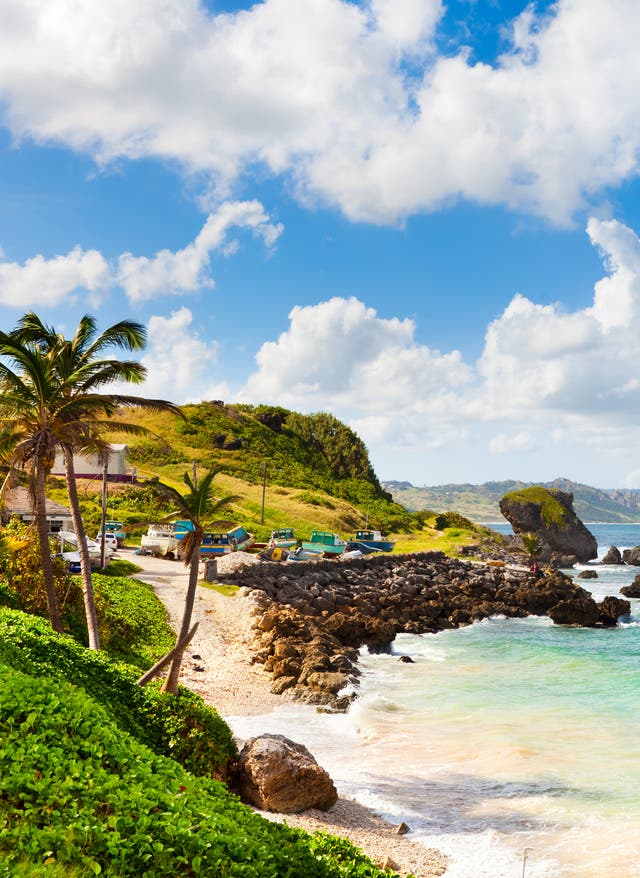 Barbados-Geheimtipps Atemberaubender Stand und kristallklares Wasser: Geheimtipps für Barbados