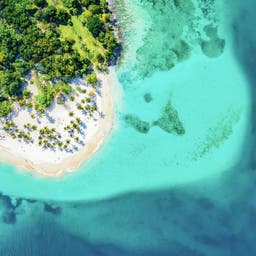 dominikanische-republik-bacardi-island-cayo-levantado-strand-mit-palmen-g-1225849465.jpg