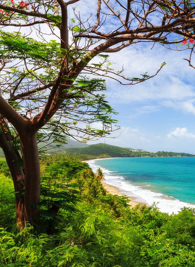 Puerto Rico Urlaub Puerto Rico – Traumstrand der Insel