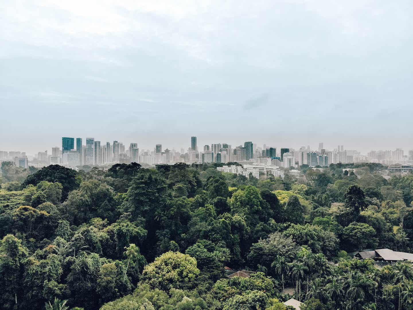 Grüne Skyline Singapurs