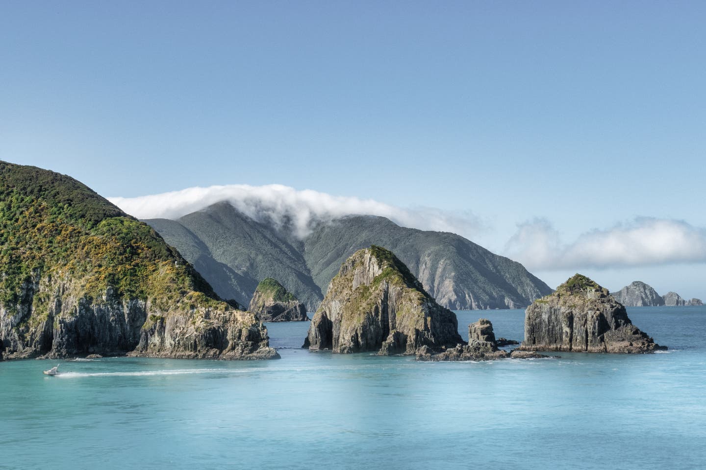 Neuseeland beste Reisezeit: Wellington Harbour auf der Nordinsel von Neuseeland