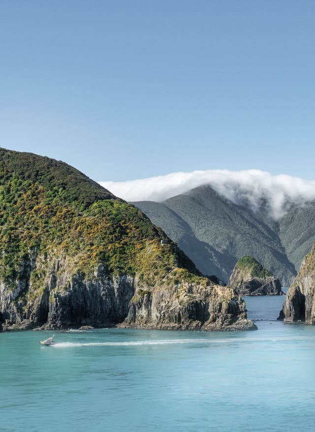 Neuseeland beste Reisezeit