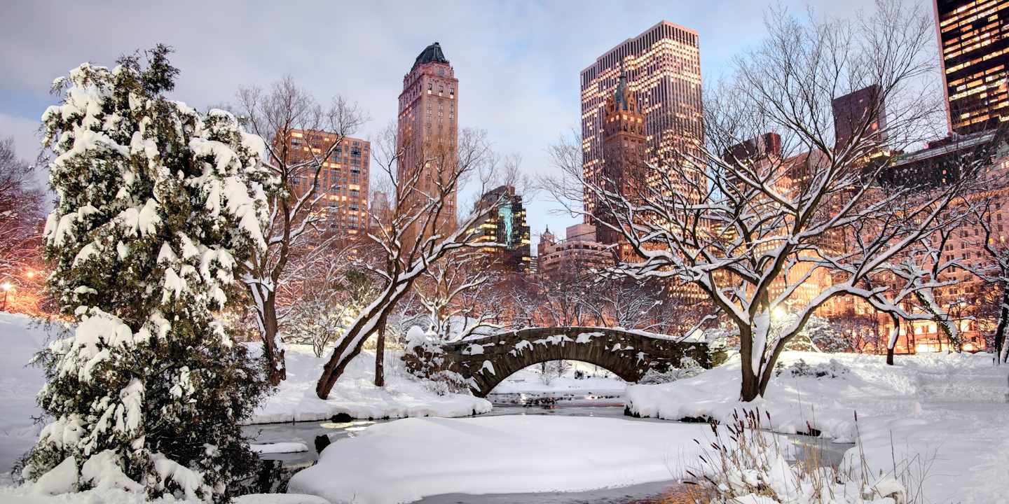 Der verschneite Central Park von New York im Winter