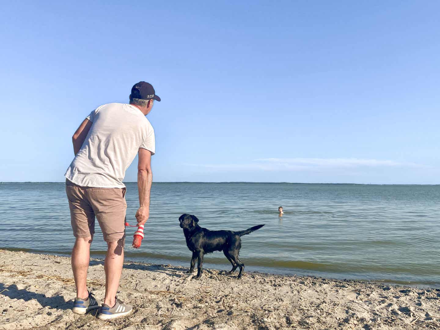 Mann spielt am Strand der Ostsee mit seinem Hund, während im Hintergrund ein Kind im Wasser schwimmt