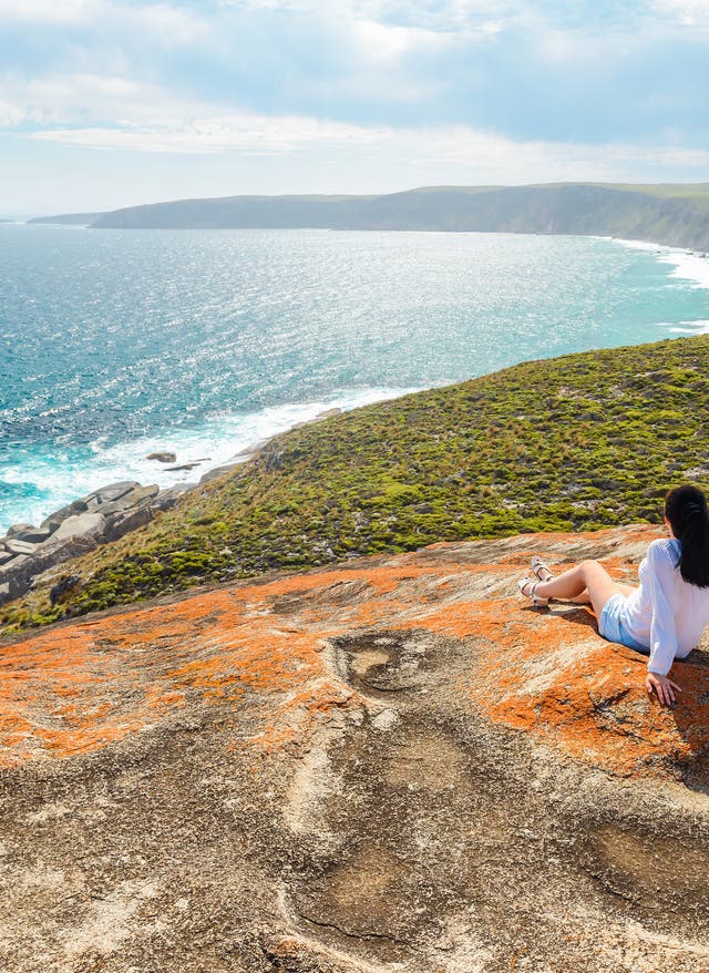 Zur Gruppenreise Südaustralien - Seelöwen auf Kangaroo Island