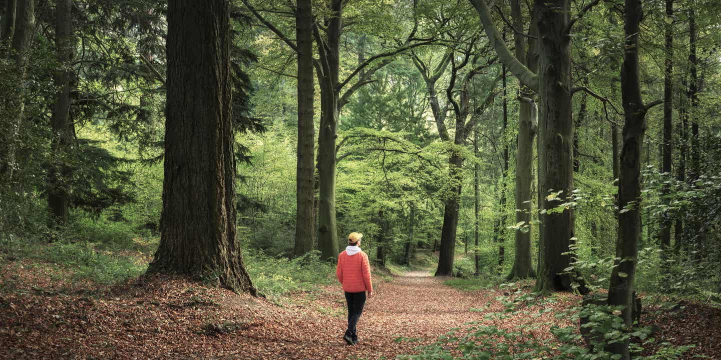 Ein Mann mit roter Jacke geht durch einen Laubwald