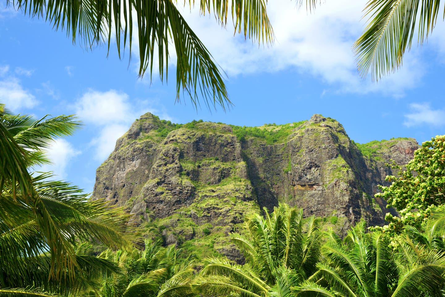 Nahaufnahme von Le Morne Brabant auf Mauritius, eingerahmt von grünen Palmen und blauem Himmel