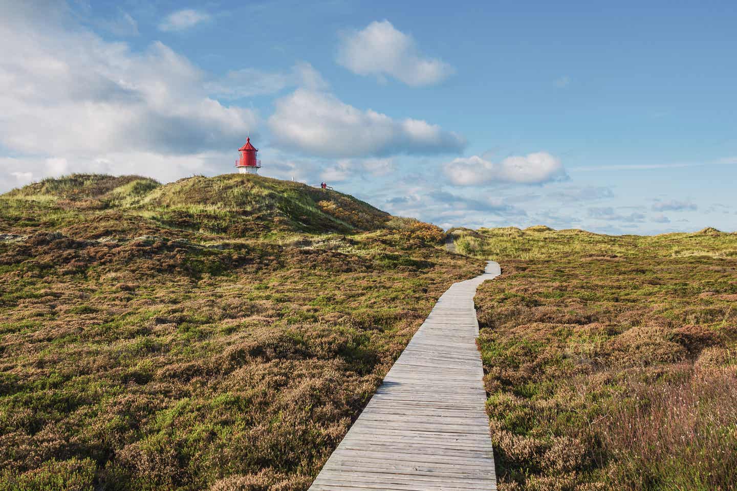 Amrum als Herbstferien Reiseziel: Pfad durch die Dünen mit Blick auf den Leuchtturm