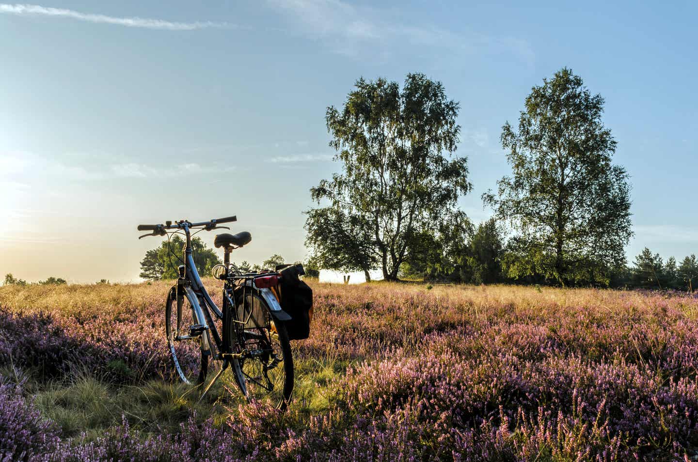 Radtouren in Deutschland: Fahrrad vor der Lüneburger Heide