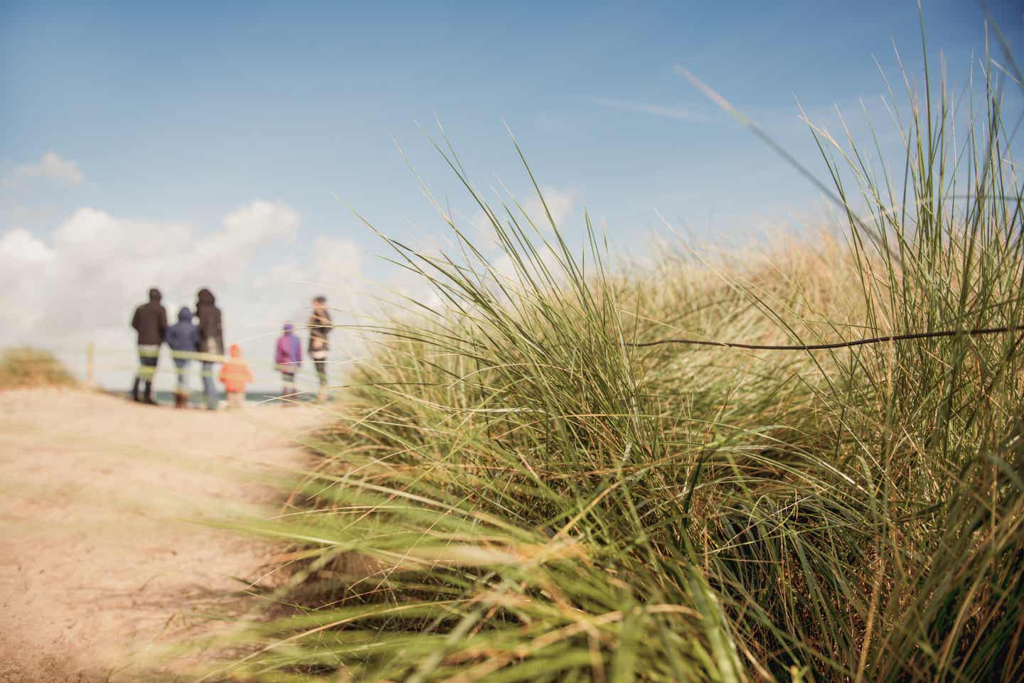 Eine Dünenlandschaft an der Nordsee mit verschwommenen Menschen im Hintergrund