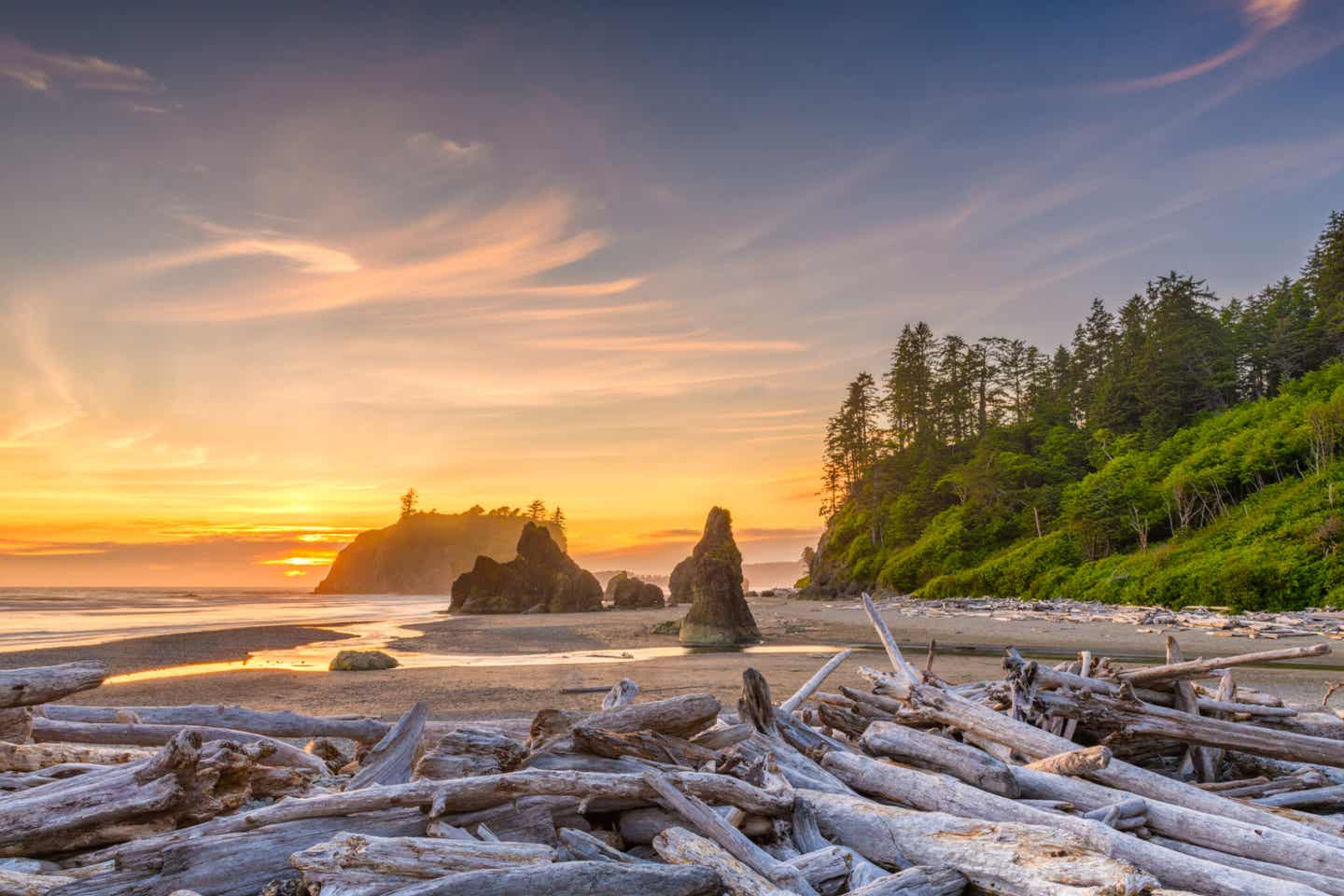 Washington Olympic National Park am Ruby Beach