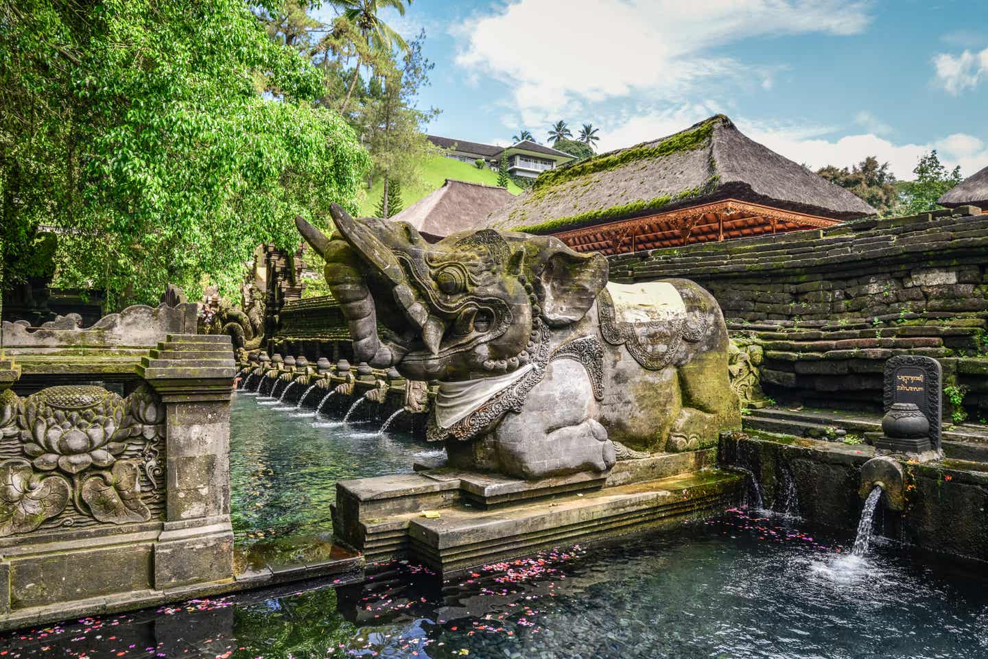 Heilige Reinigungsrituale beobachten: in Balis Tempel Tirta Empul