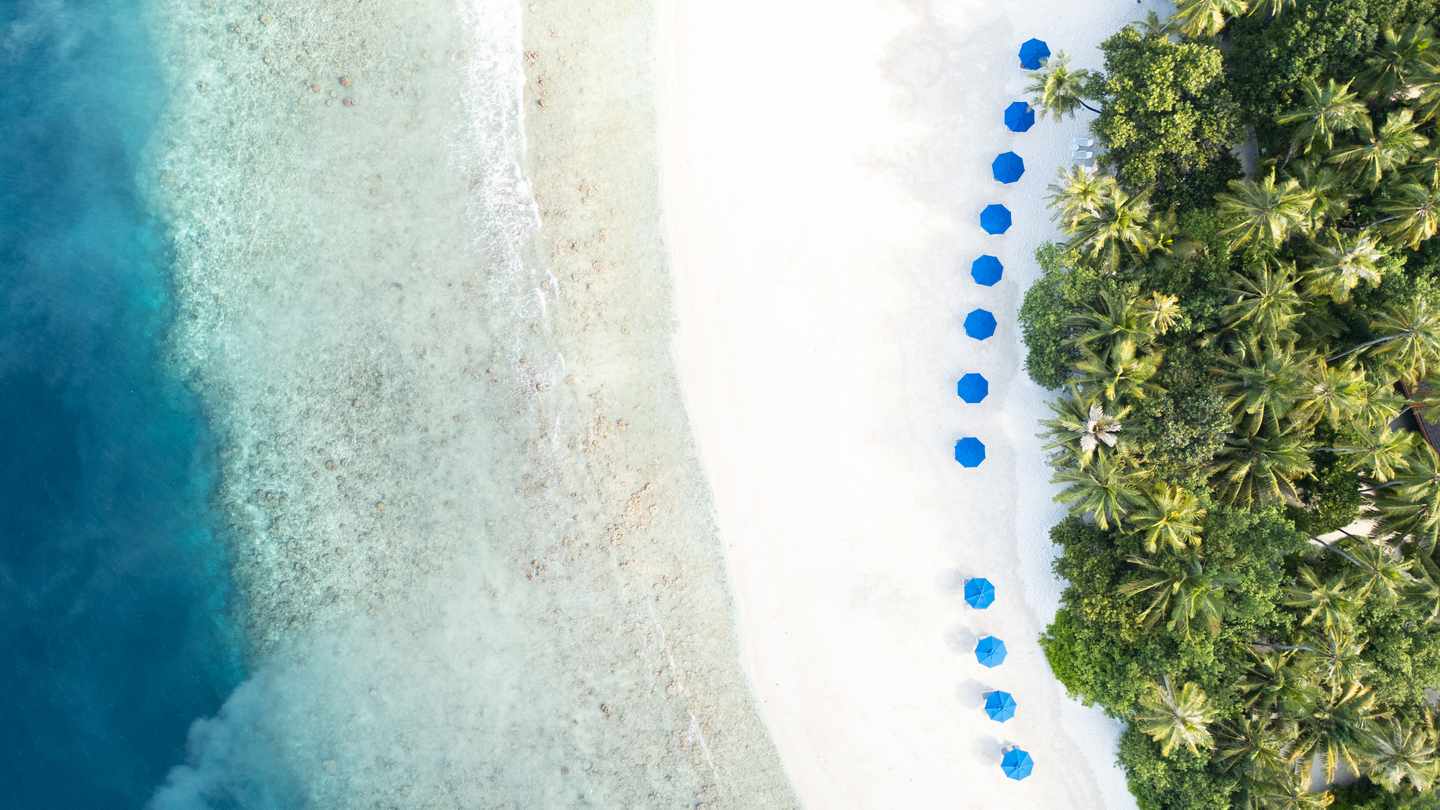 Luftaufnahme eines weißen Sandstrands mit einer Reihe blauer Sonnenschirme neben dichtem Palmenwald und türkisfarbenem Meer