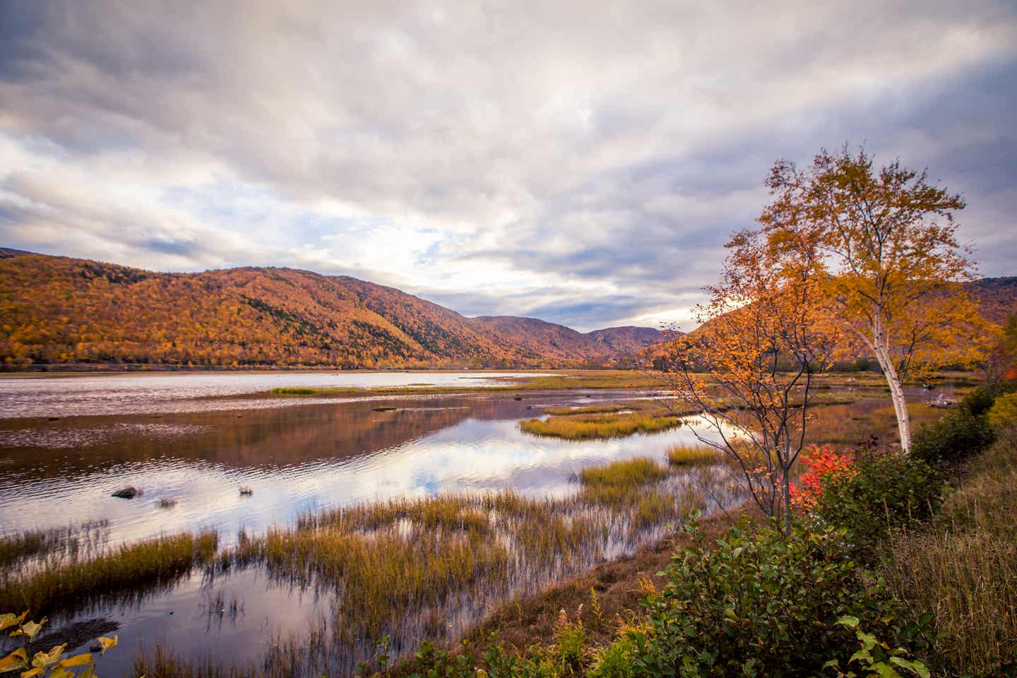 See im Cape Breton Highlands National Park 