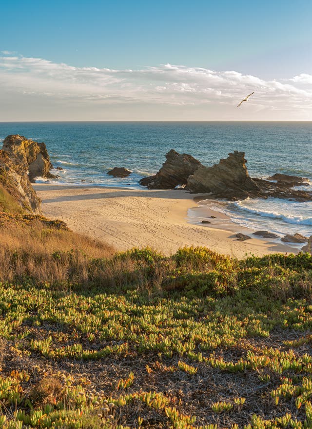 Zu den Angeboten Portugal Urlaub - das Meer von oben