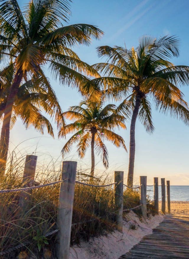 Jetzt inspirieren lassen Florida Urlaub Weg zum Strand mit Palmen