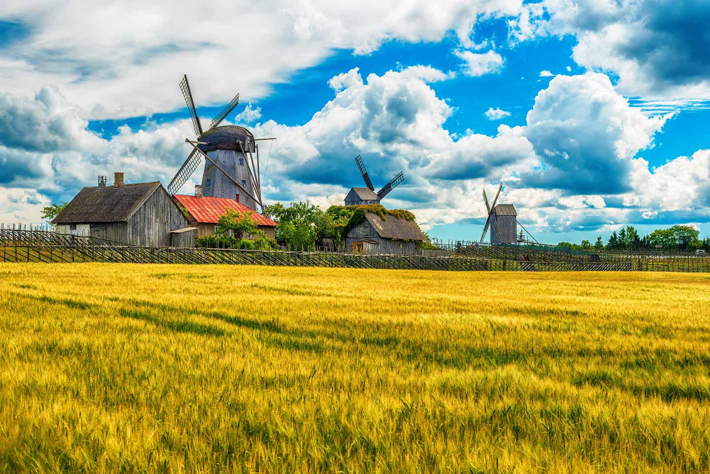 Urlaub in Estland – Windmühlen auf Saaremaa