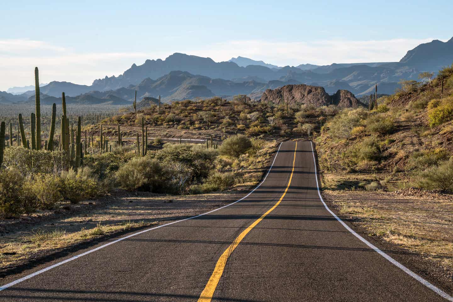 Straße des Highway 1 mit Felsen und Kakteen am Straßenrand bei einer Rundreise