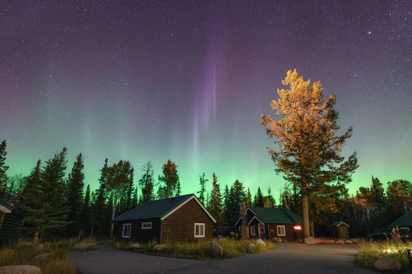 Nordlichter in British Columbia