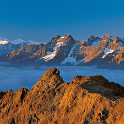 Hotel Tirol
