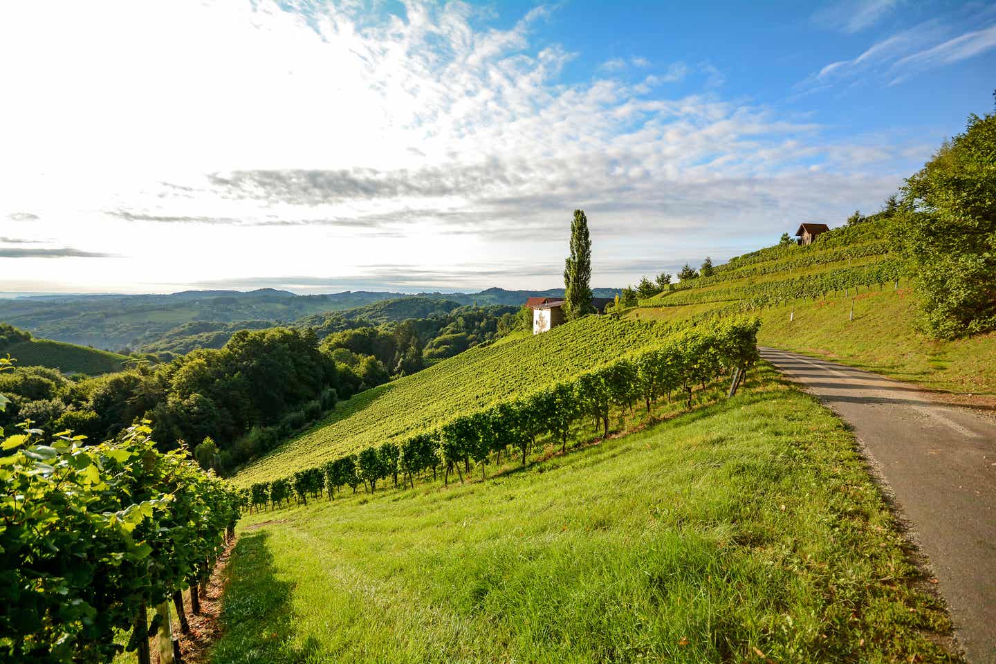 Weinregionen zum Durchwandern im April