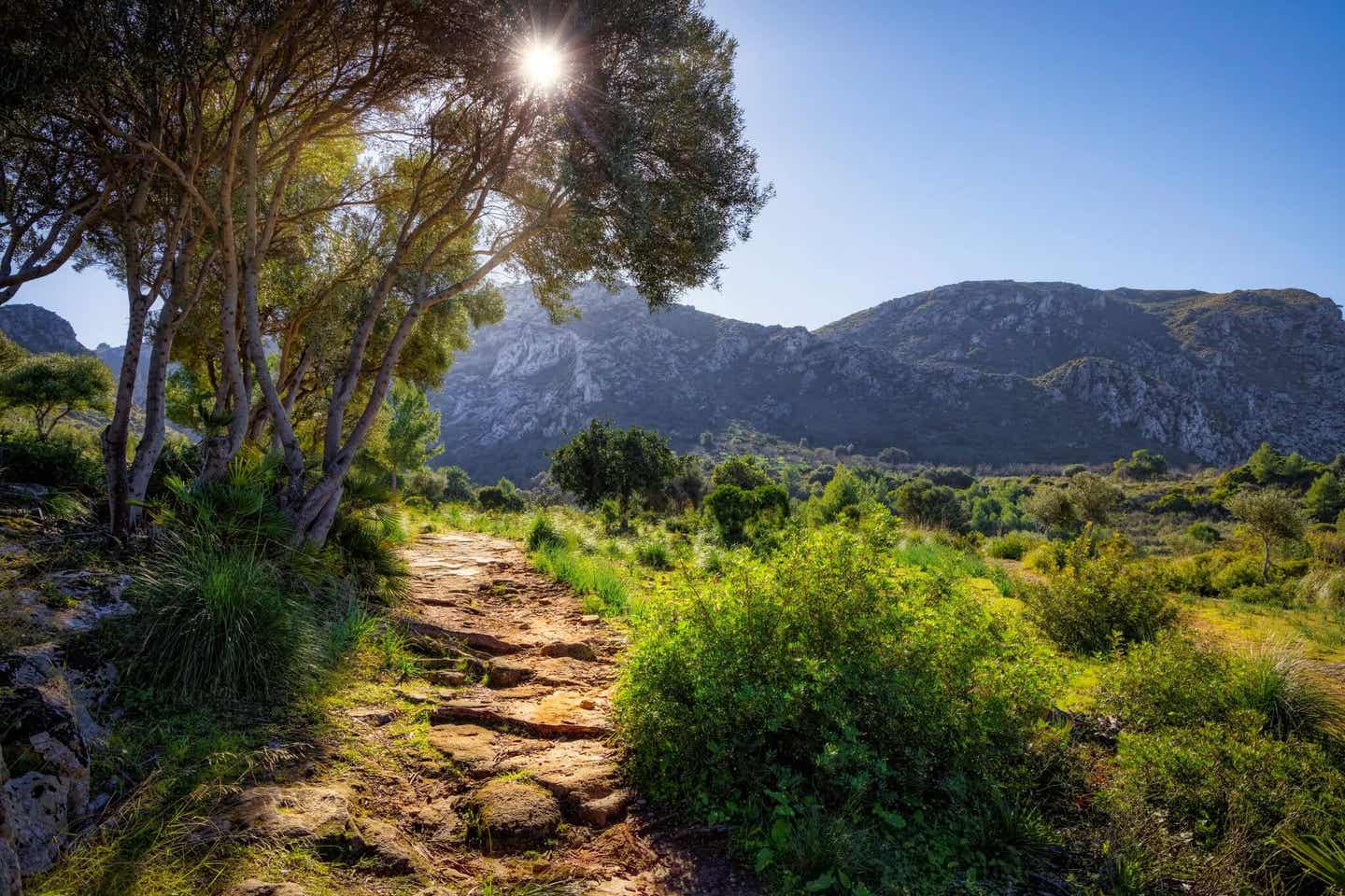 Serres de Llevant Wanderweg