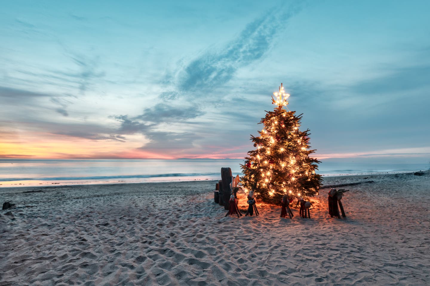 Ein Weihnachtsbaum am Strand