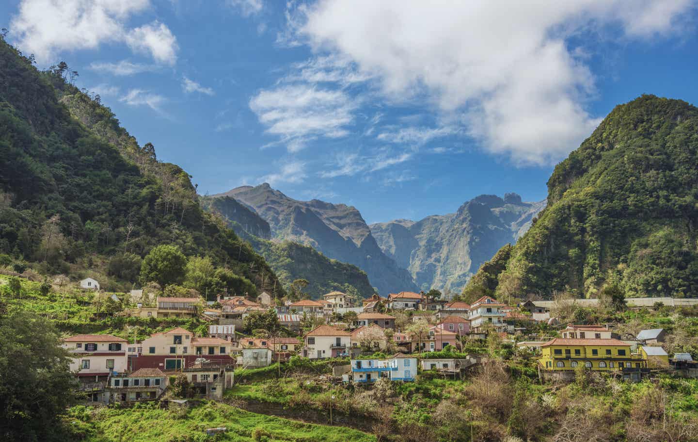 Nationalpark auf Madeira