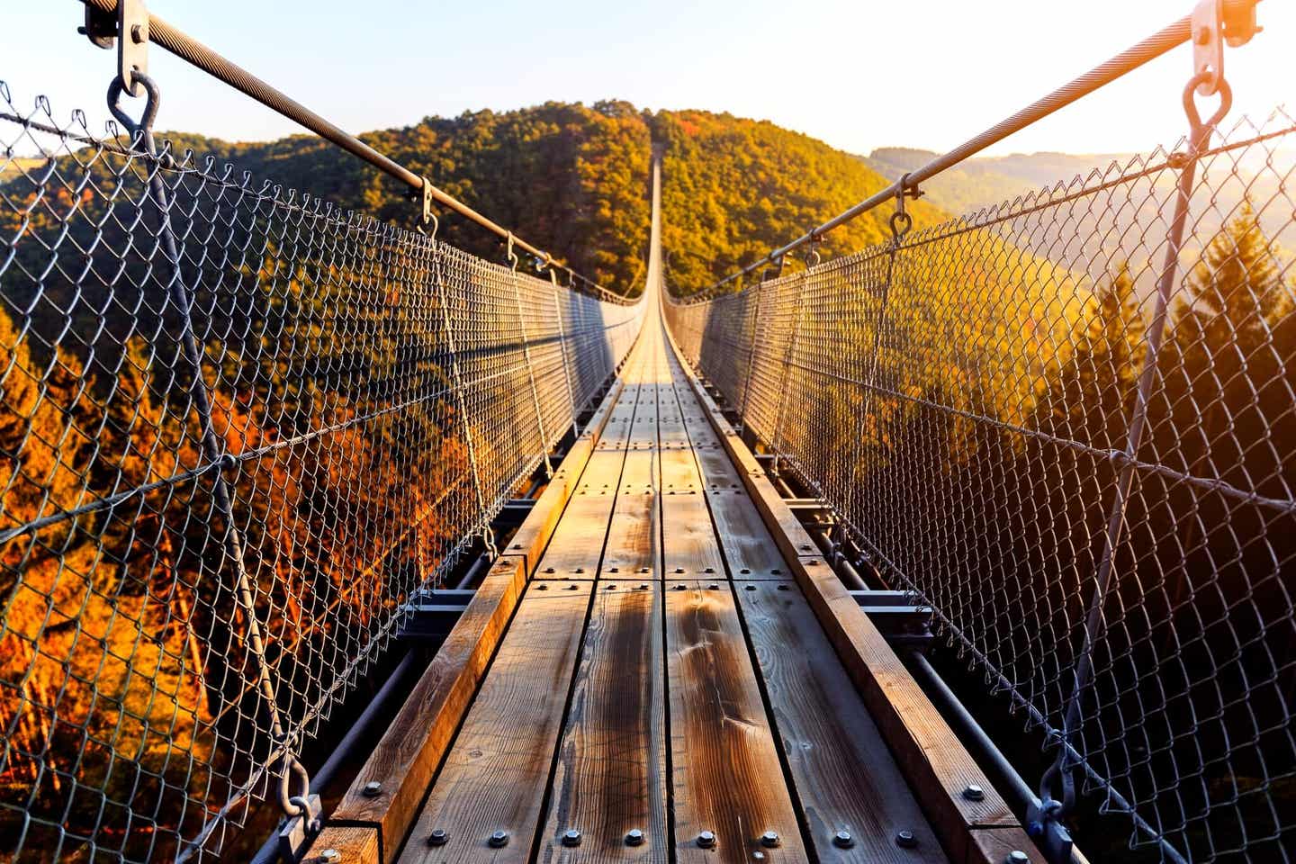 Luftiger Fotospot in Deutschland: die Hängeseilbrücke Geierlay