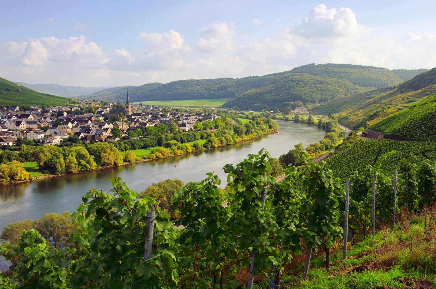 Weinregion Rhein-Mosel