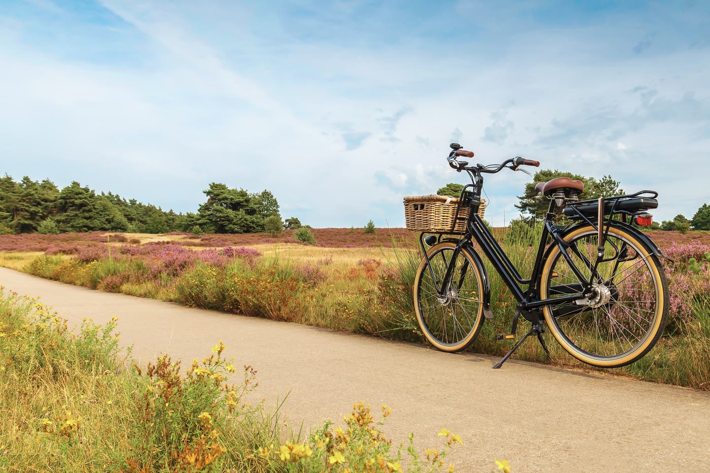 Inspiration und Tipps für deine Radtour durch Deutschland