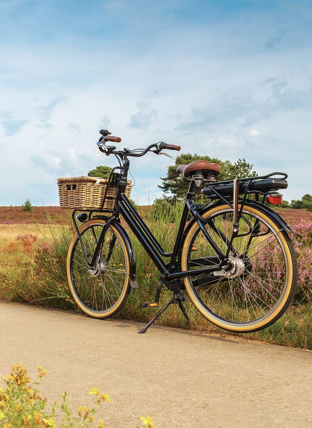 Radtouren in Deutschland Inspiration und Tipps für deine Radtour durch Deutschland