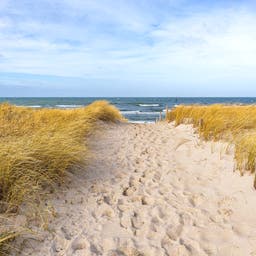 deutschland-ostsee-strand-in-graal-mueritz-g-1706194797.jpg