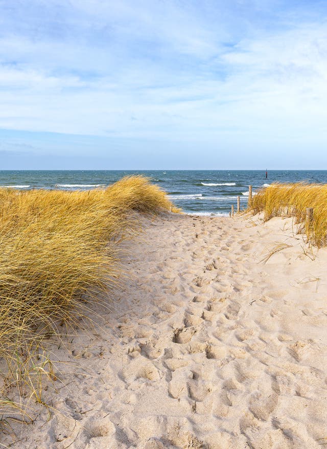 Ostsee Urlaub Willkommen im Ostsee-Urlaub: Der Weg zum Strand in Graal-Müritz führt über eine sandige Düne.