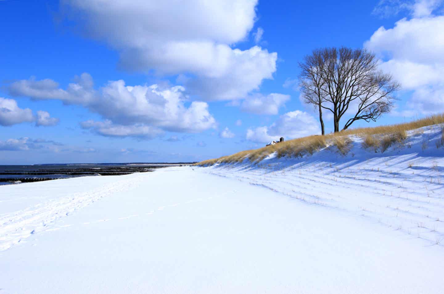 Einsamer Ostseestrand im Winter