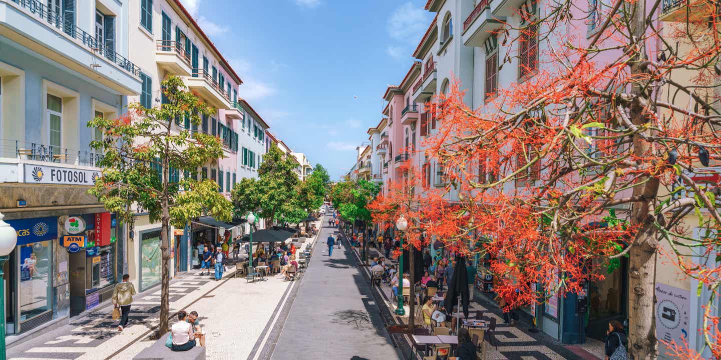 Blick von leicht oben in eine Altstadt-Straße mit Bäumen am Rande