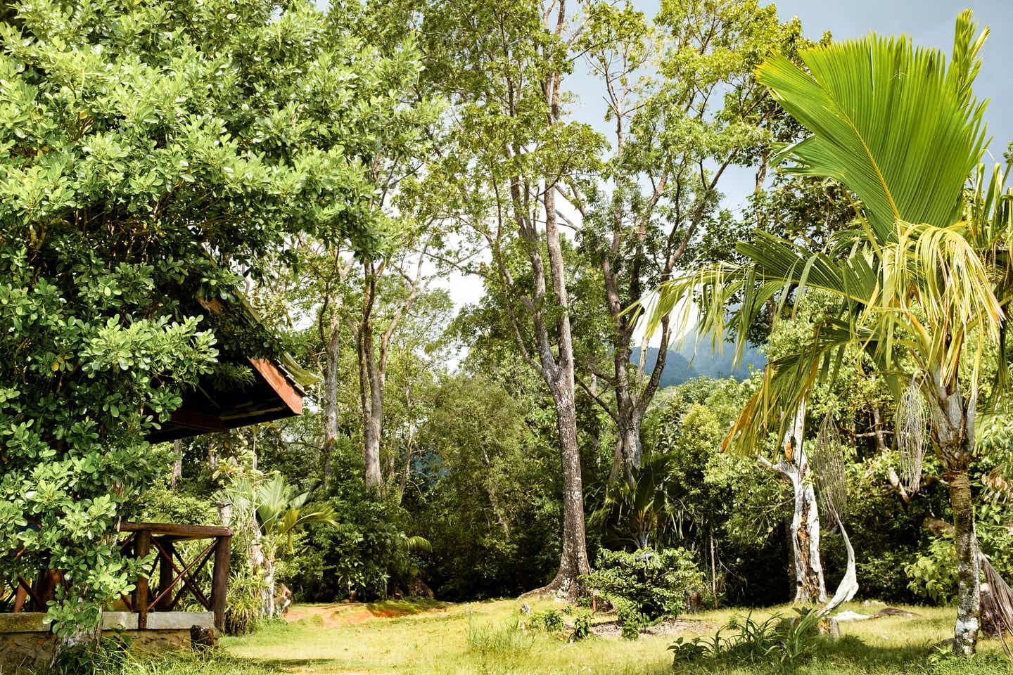 Die tropische Landschaft des Morne Seychellois Nationalparks 