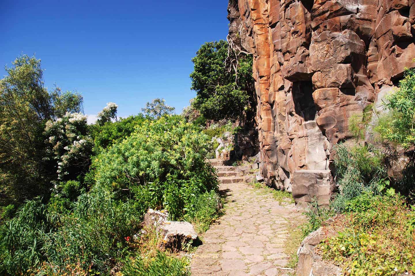 Gran Canaria palmits park Garten Wanderweg