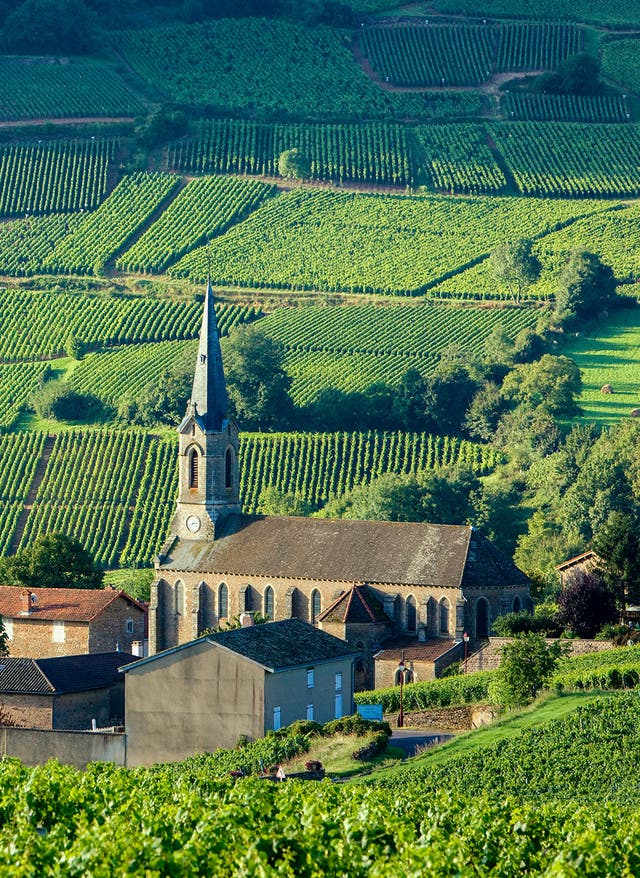 Hotel buchen Weinberge in Burgund Frankreich